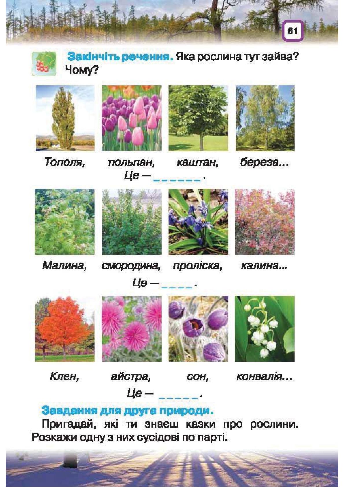 Мініатюра 61