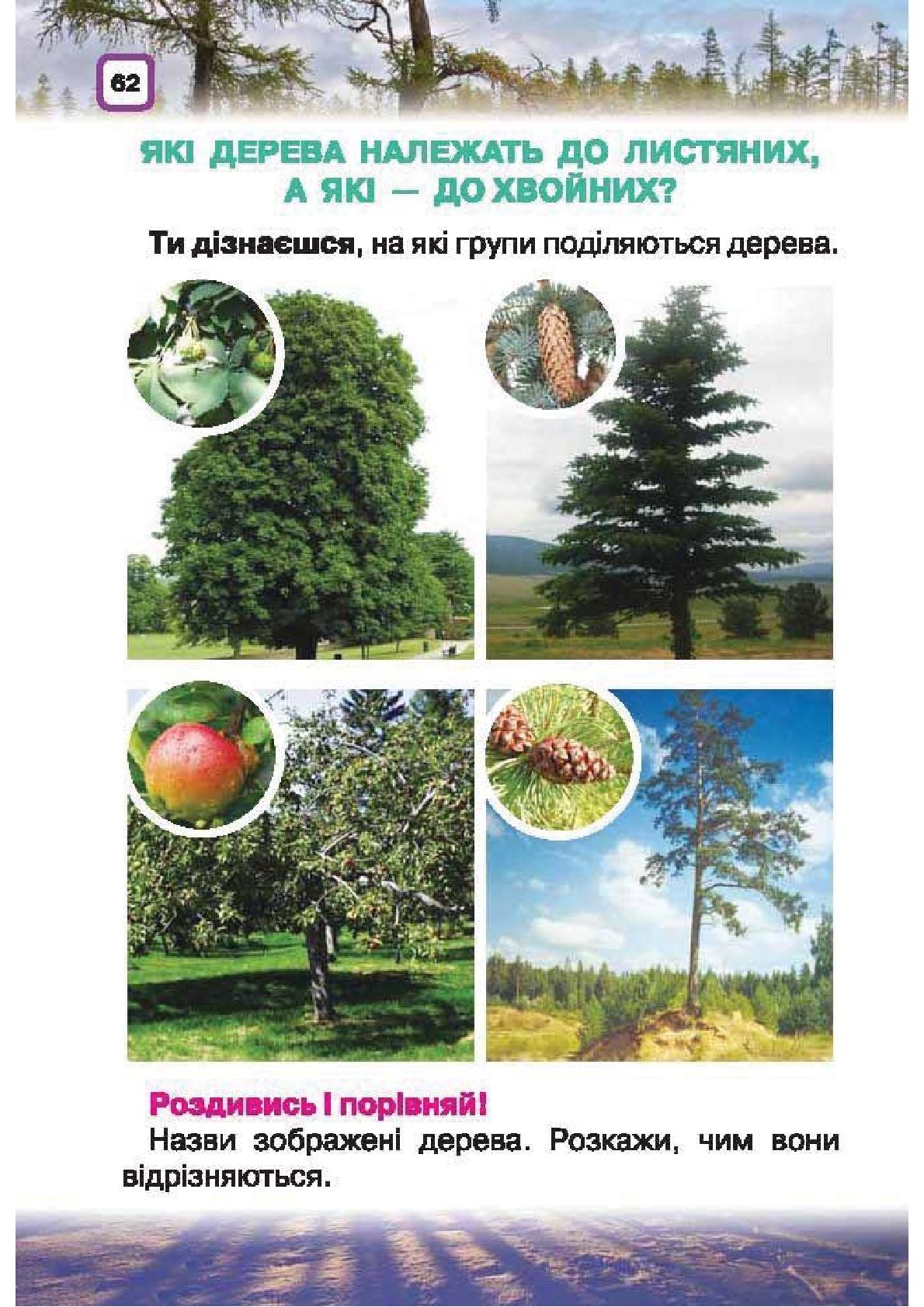 Мініатюра 62