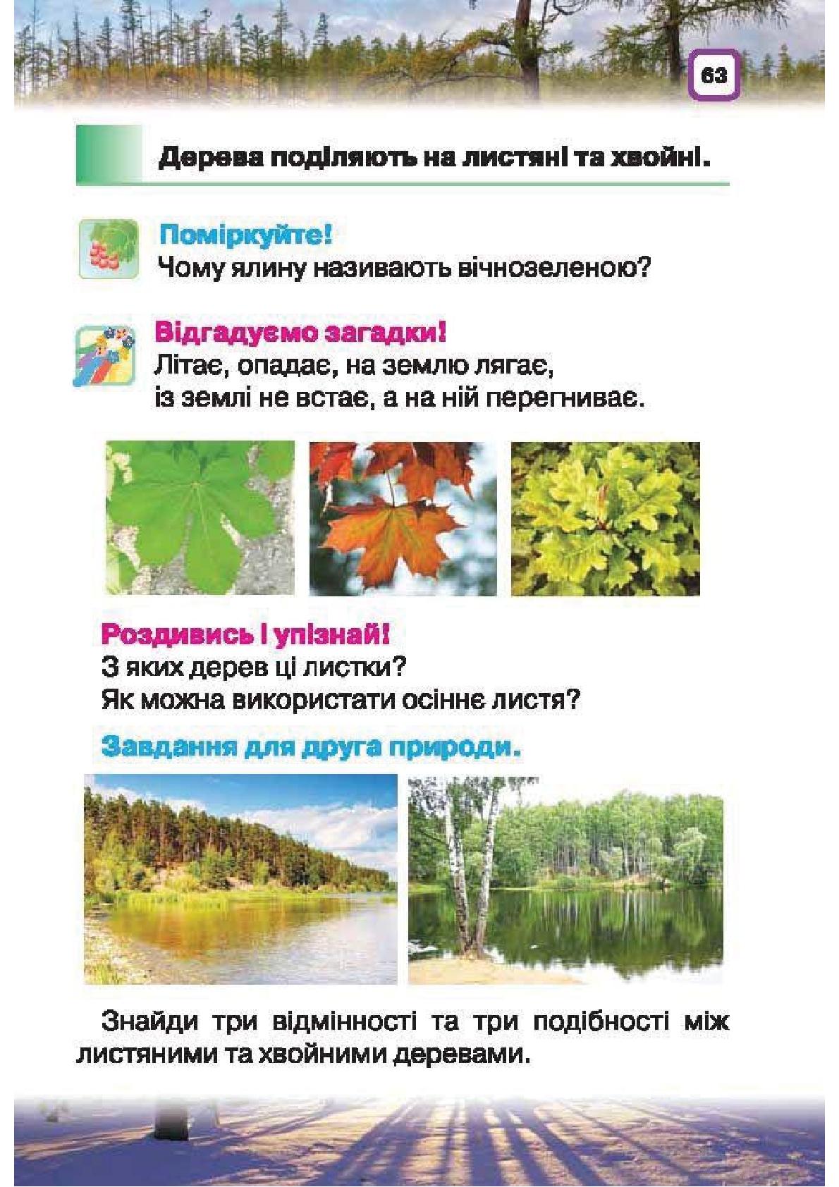 Мініатюра 63