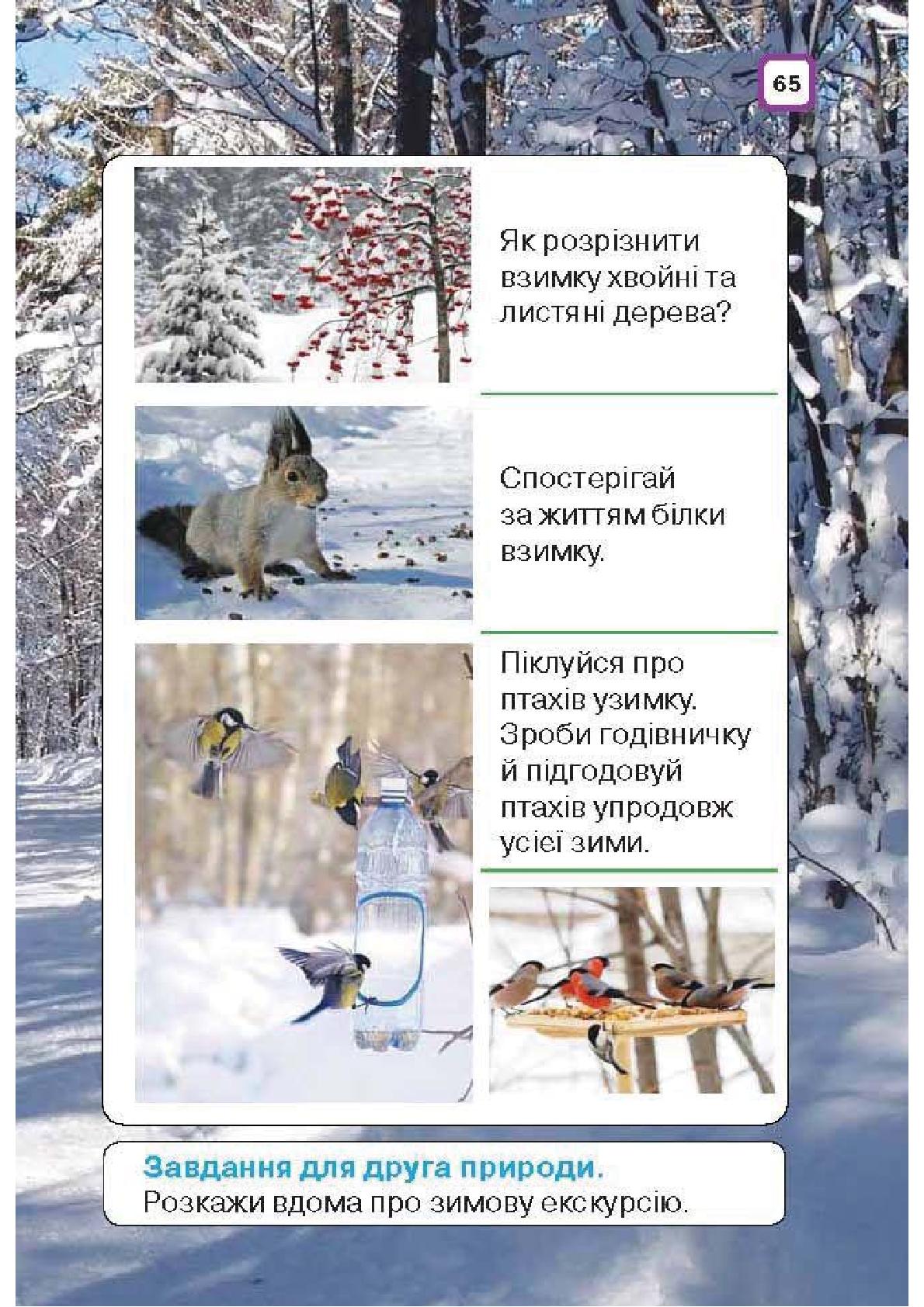 Мініатюра 65