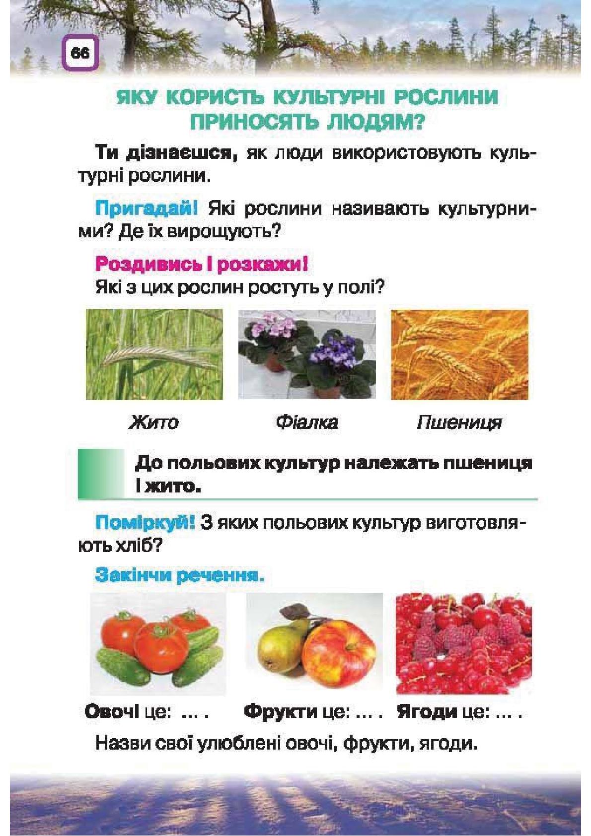 Мініатюра 66
