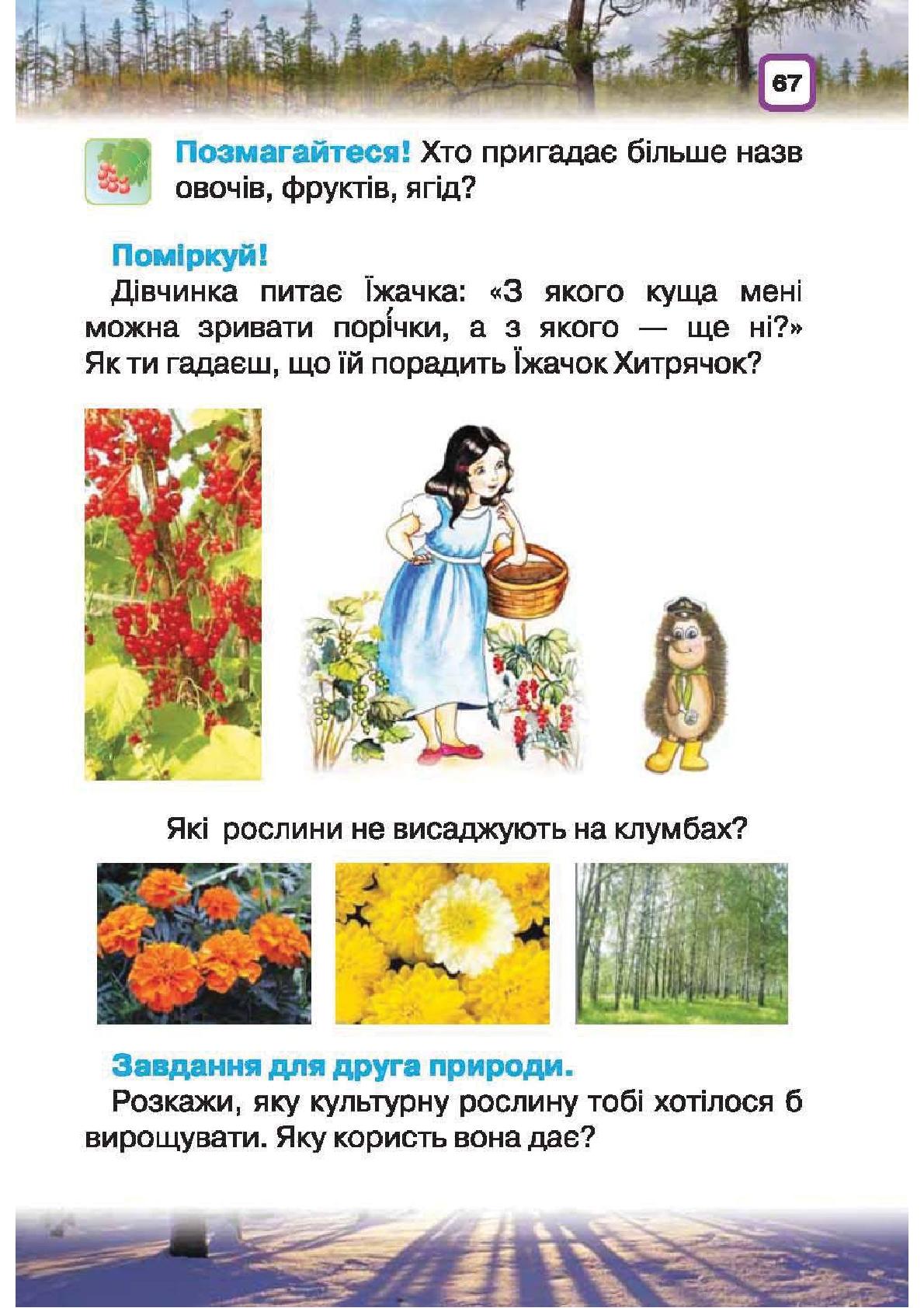 Мініатюра 67