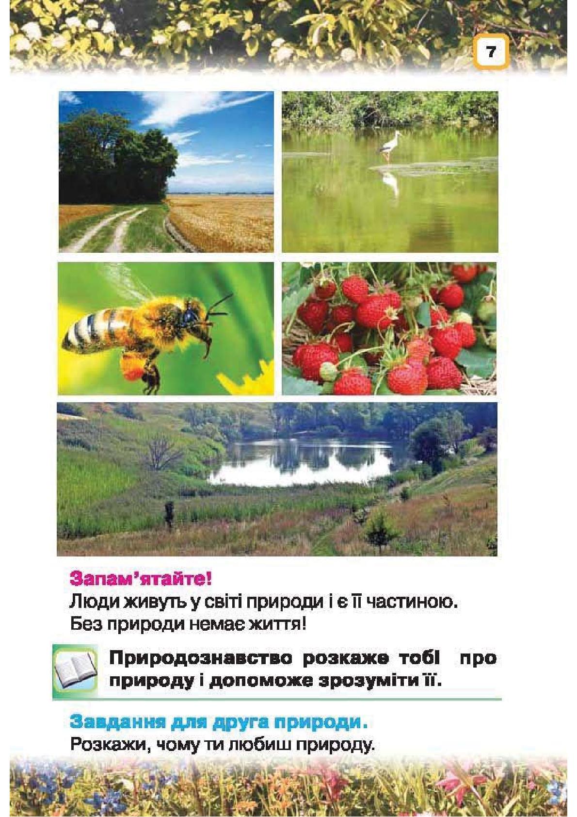 Мініатюра 7