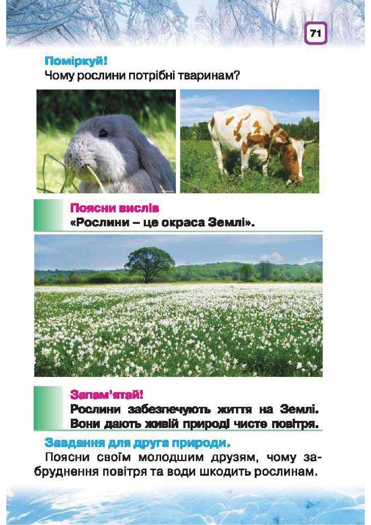 Мініатюра 71