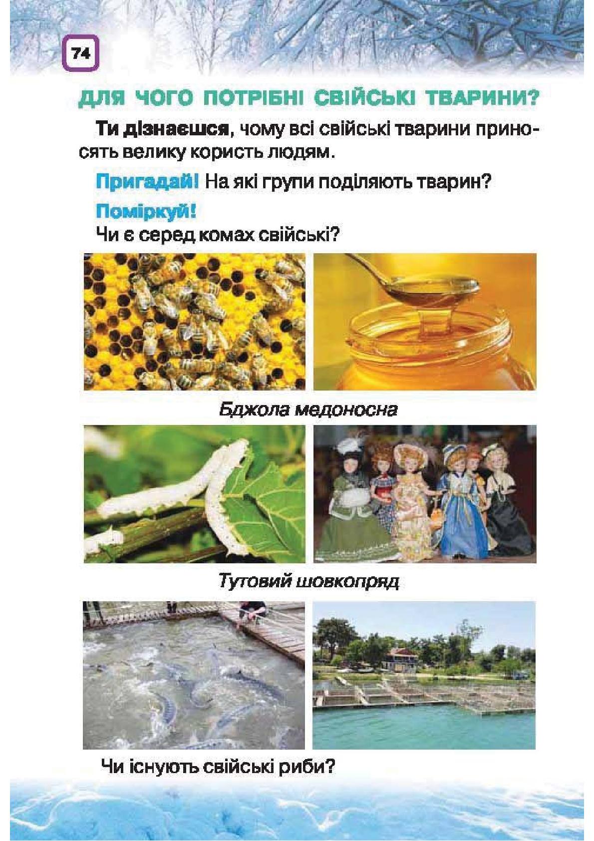 Мініатюра 74