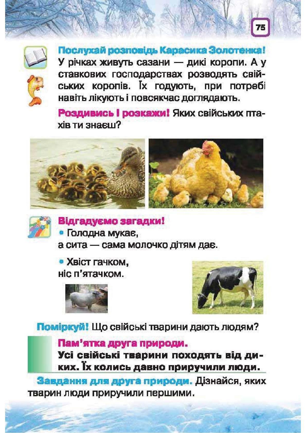 Мініатюра 75