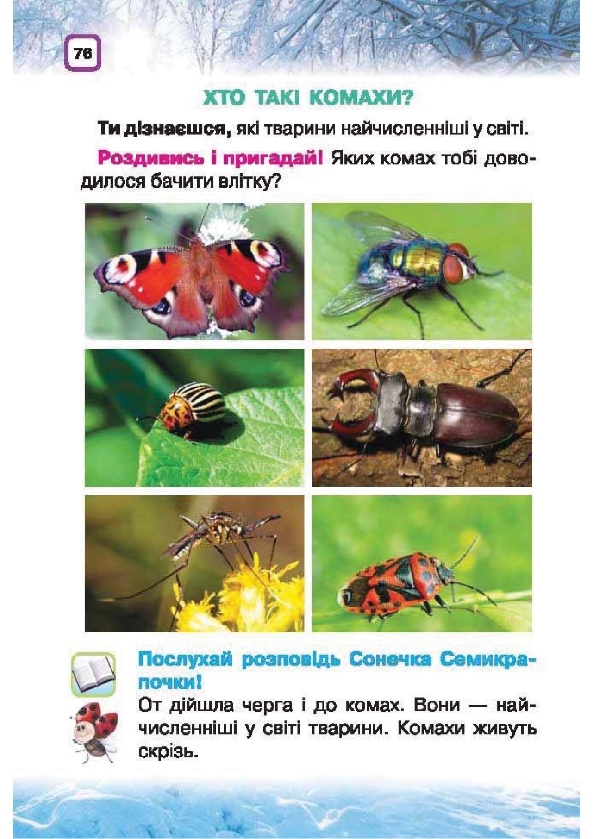 Мініатюра 76