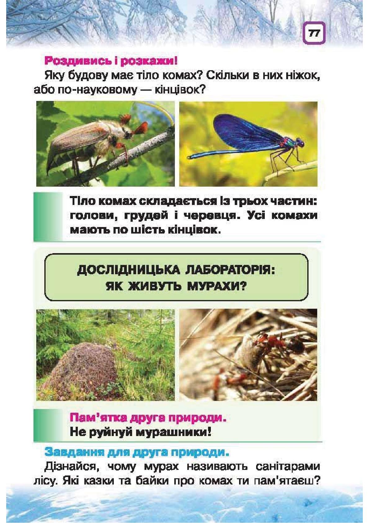 Мініатюра 77
