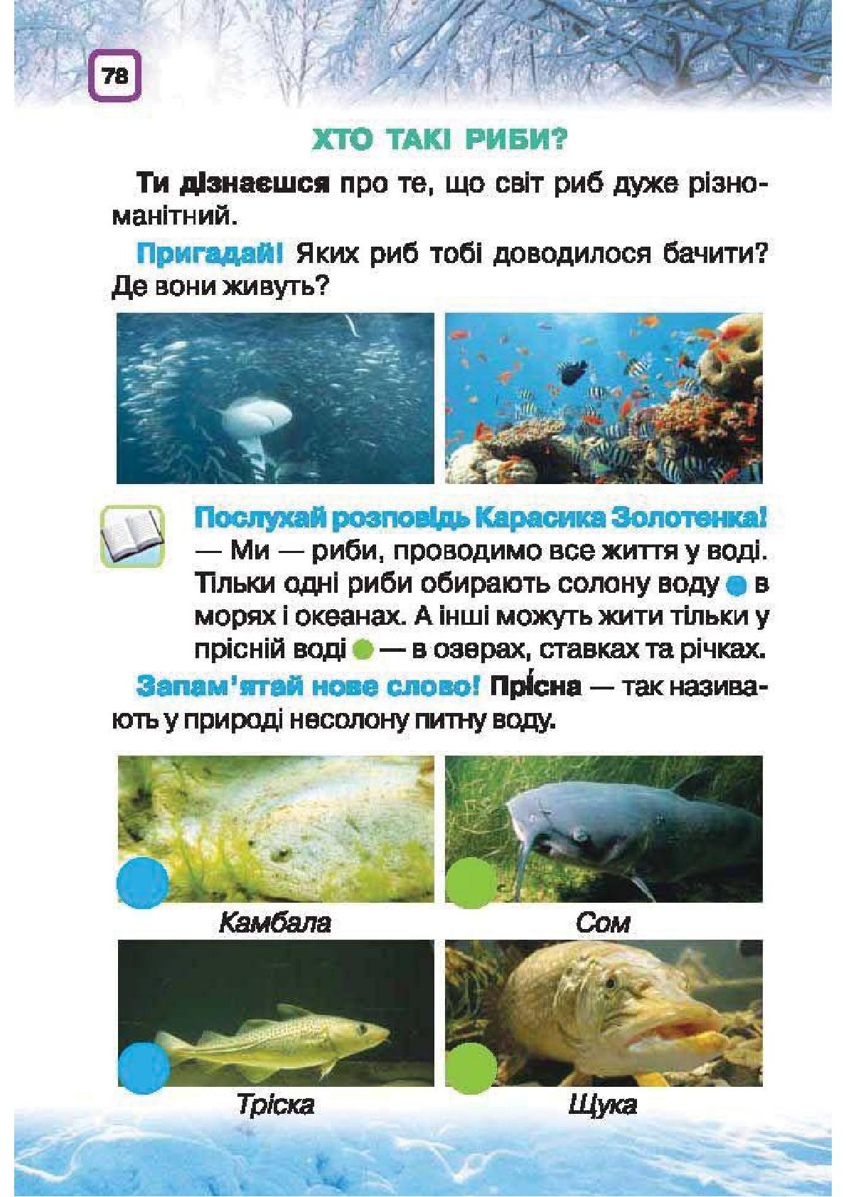 Мініатюра 78