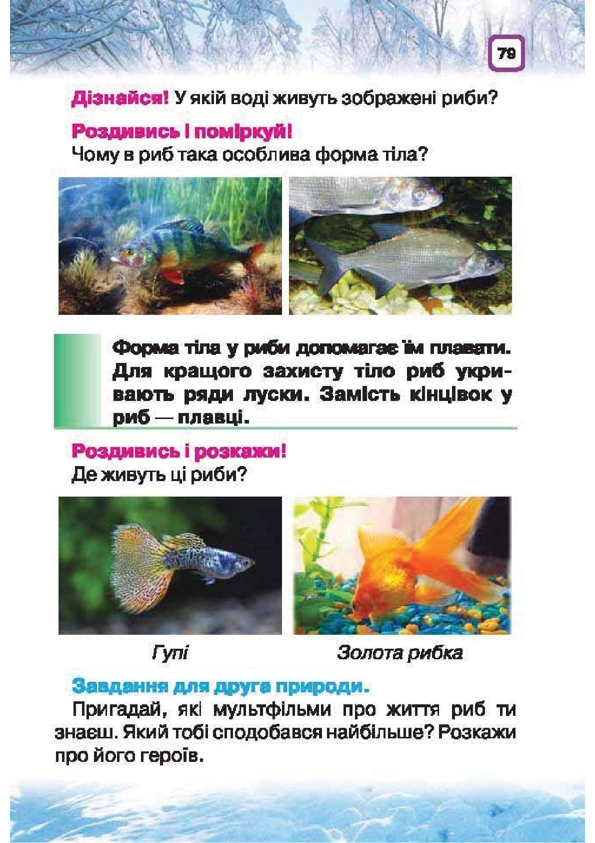 Мініатюра 79