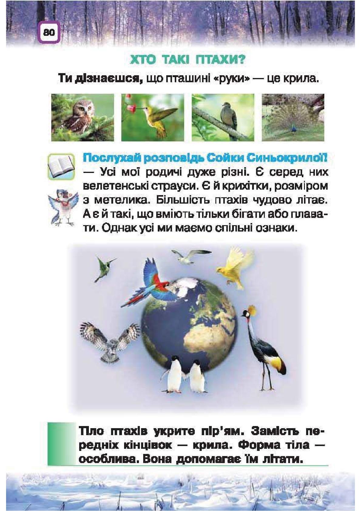 Мініатюра 80