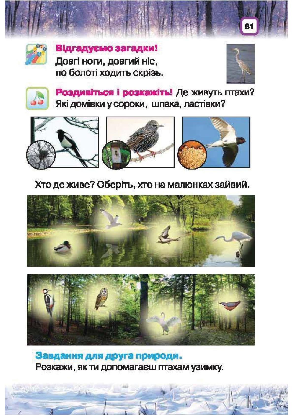 Мініатюра 81