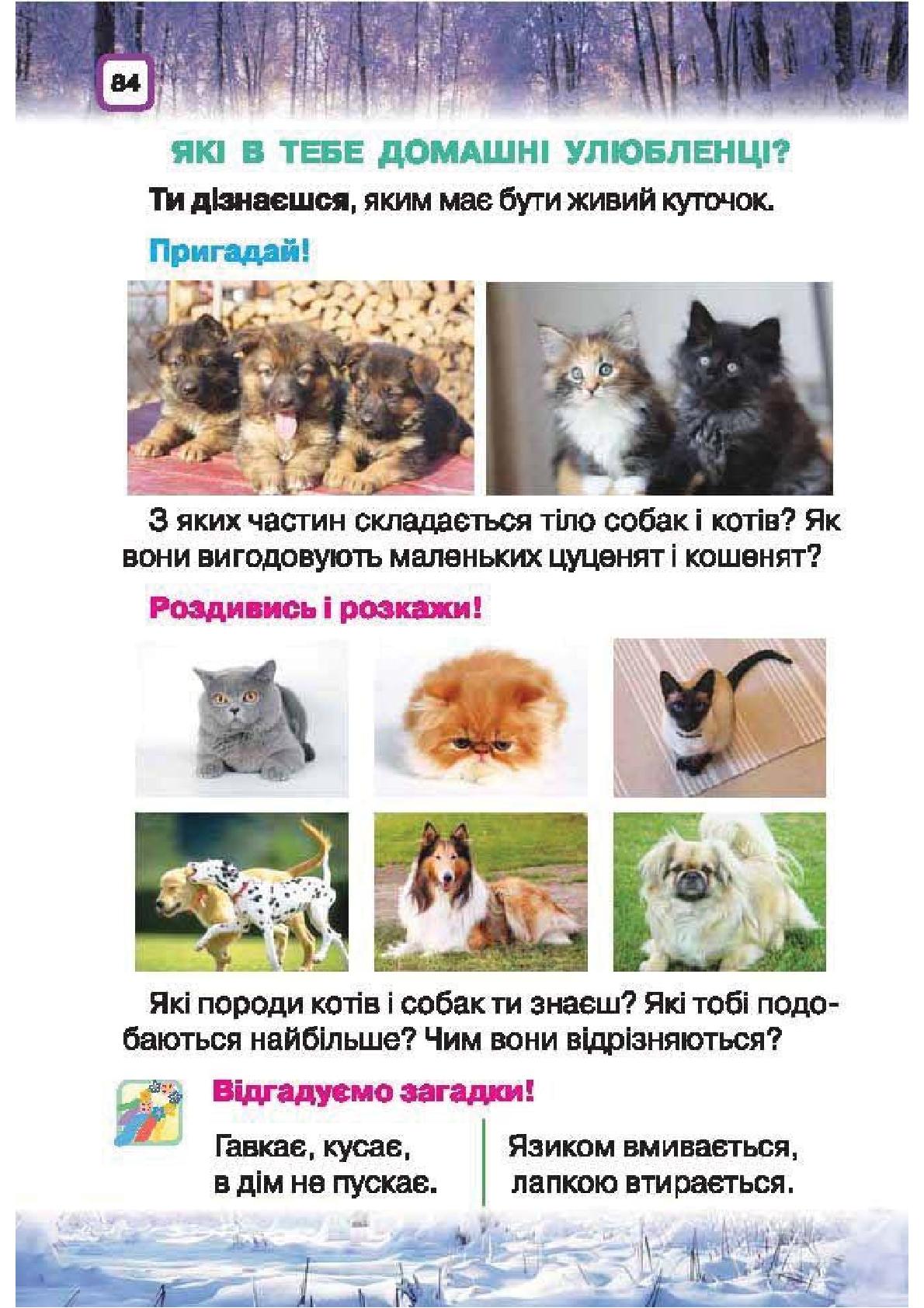 Мініатюра 84
