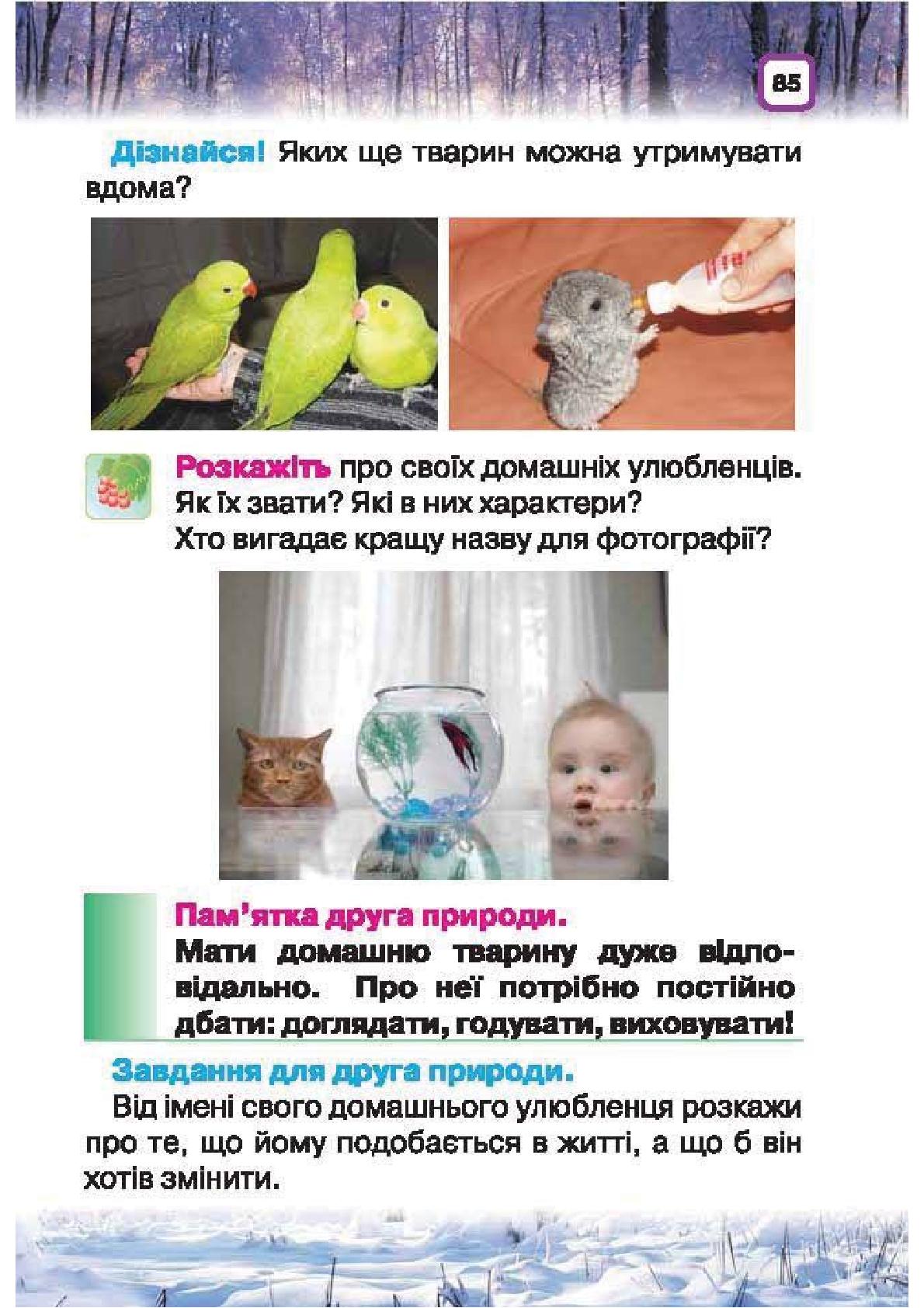 Мініатюра 85