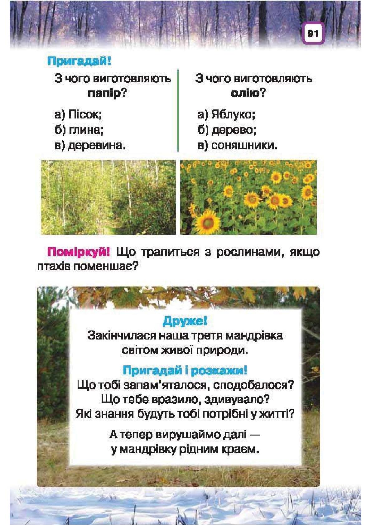 Мініатюра 91