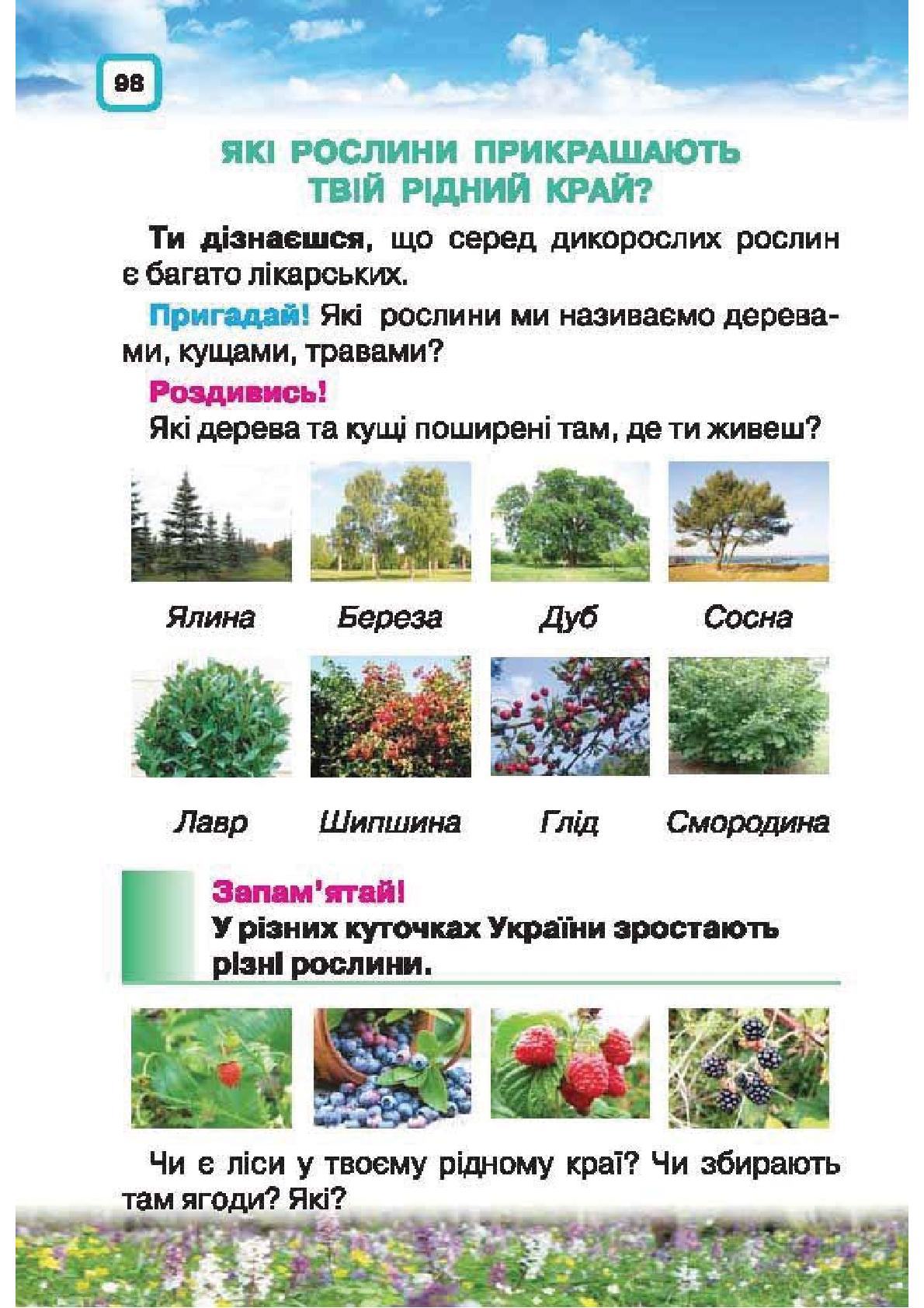 Мініатюра 98