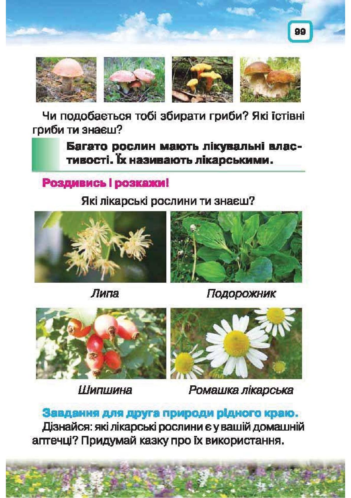 Мініатюра 99