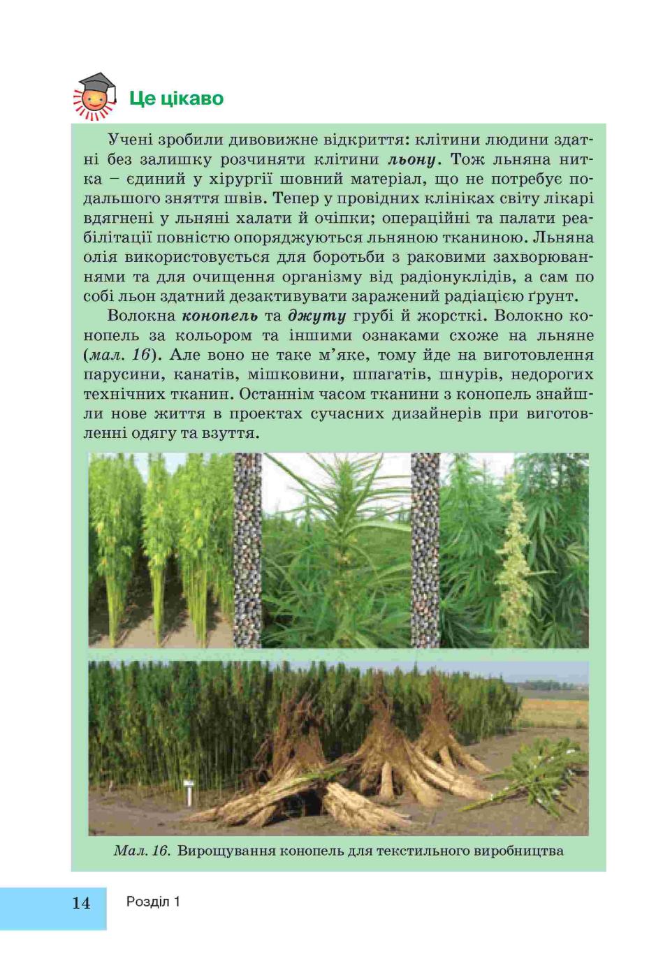 Мініатюра 14