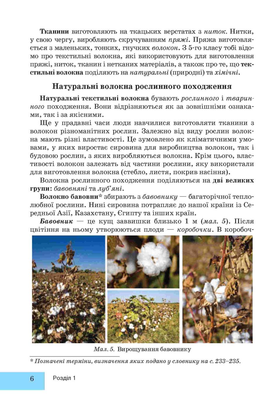 Мініатюра 6