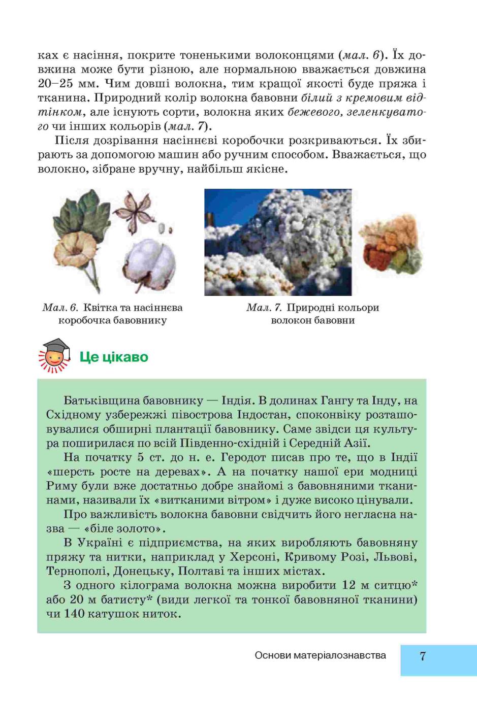 Мініатюра 7