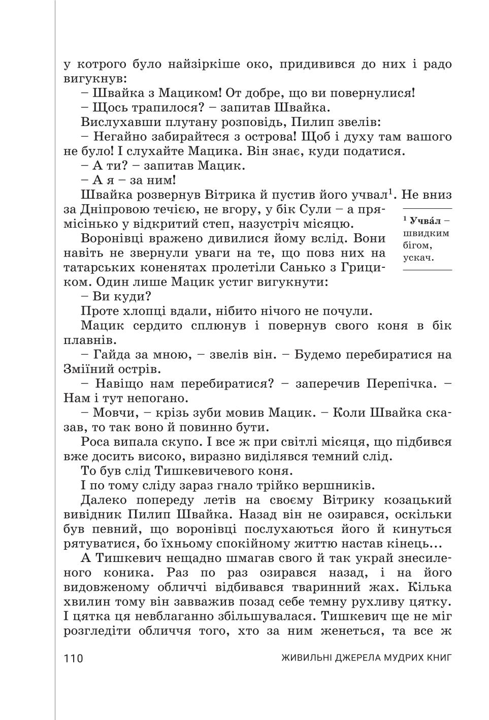 Мініатюра 110