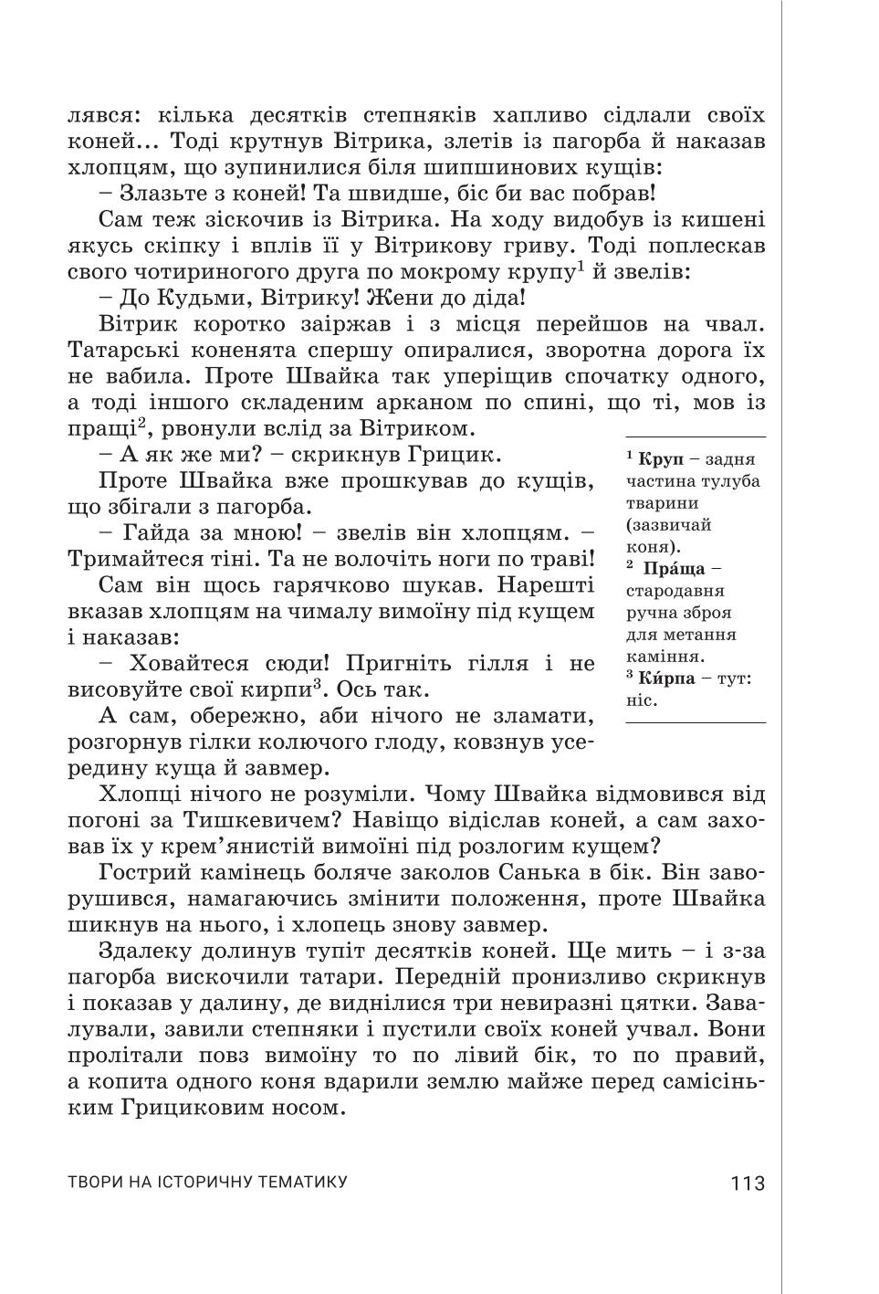 Мініатюра 113