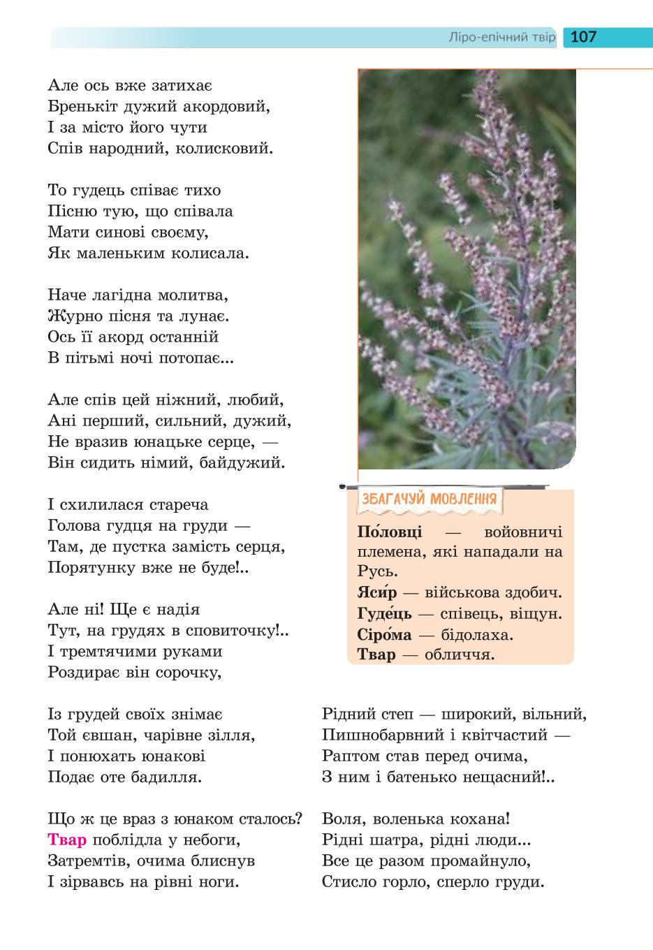 Мініатюра 107
