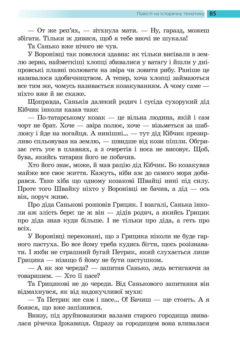 Мініатюра 85