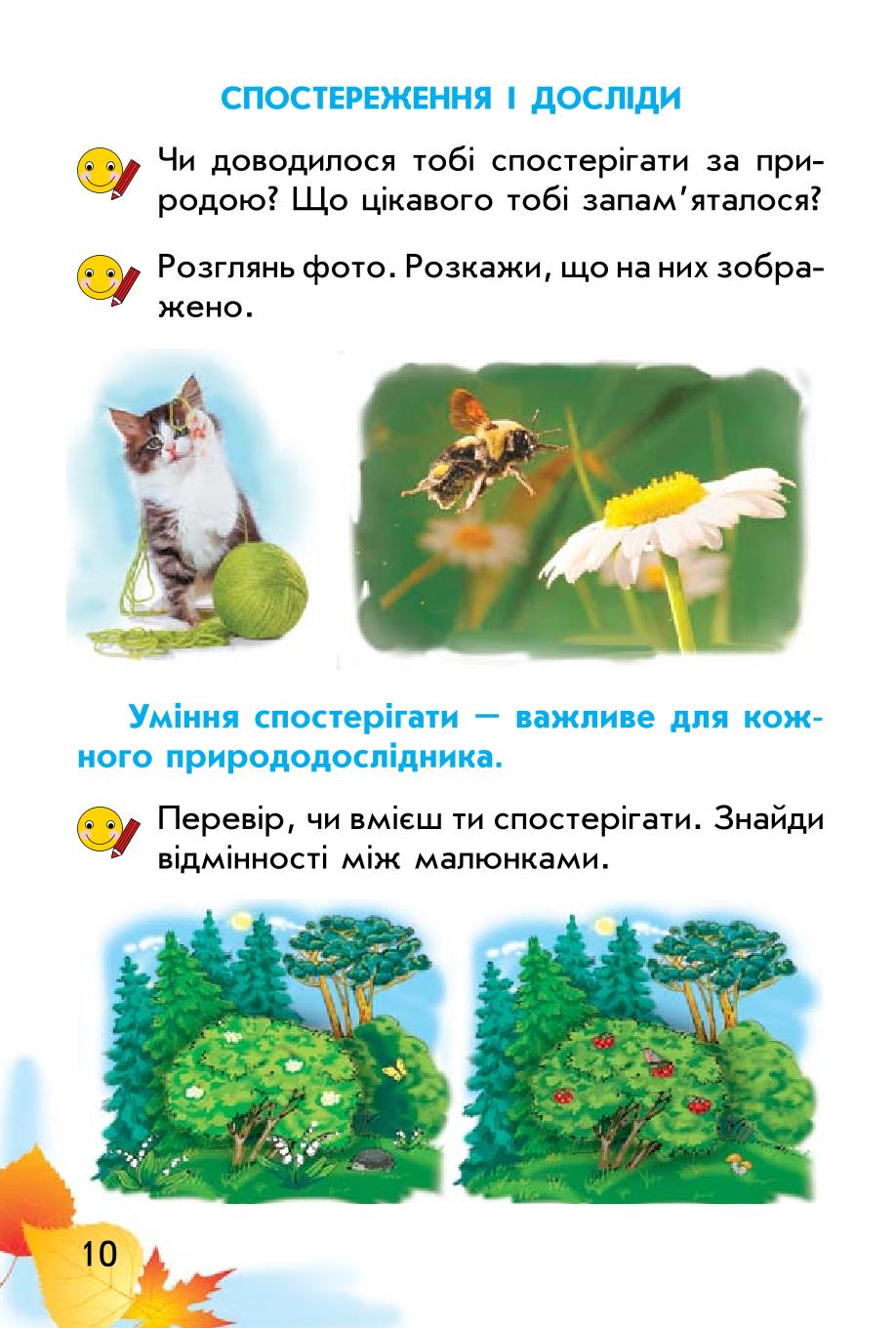 Мініатюра 10