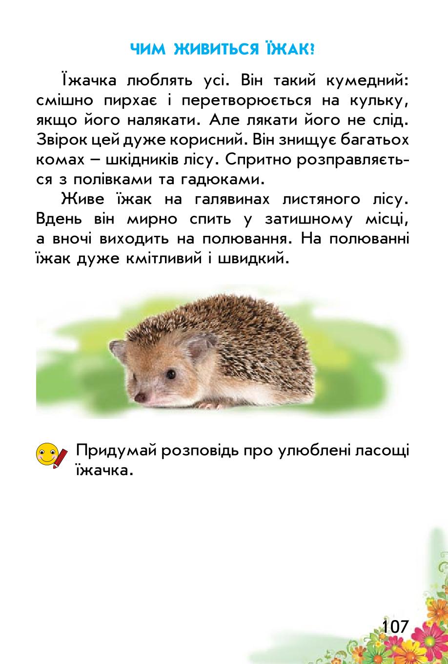 Мініатюра 107
