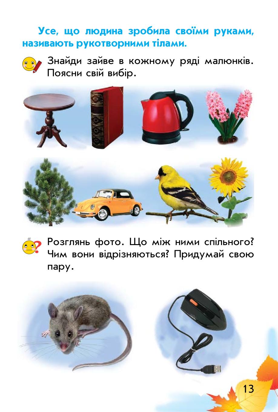Мініатюра 13