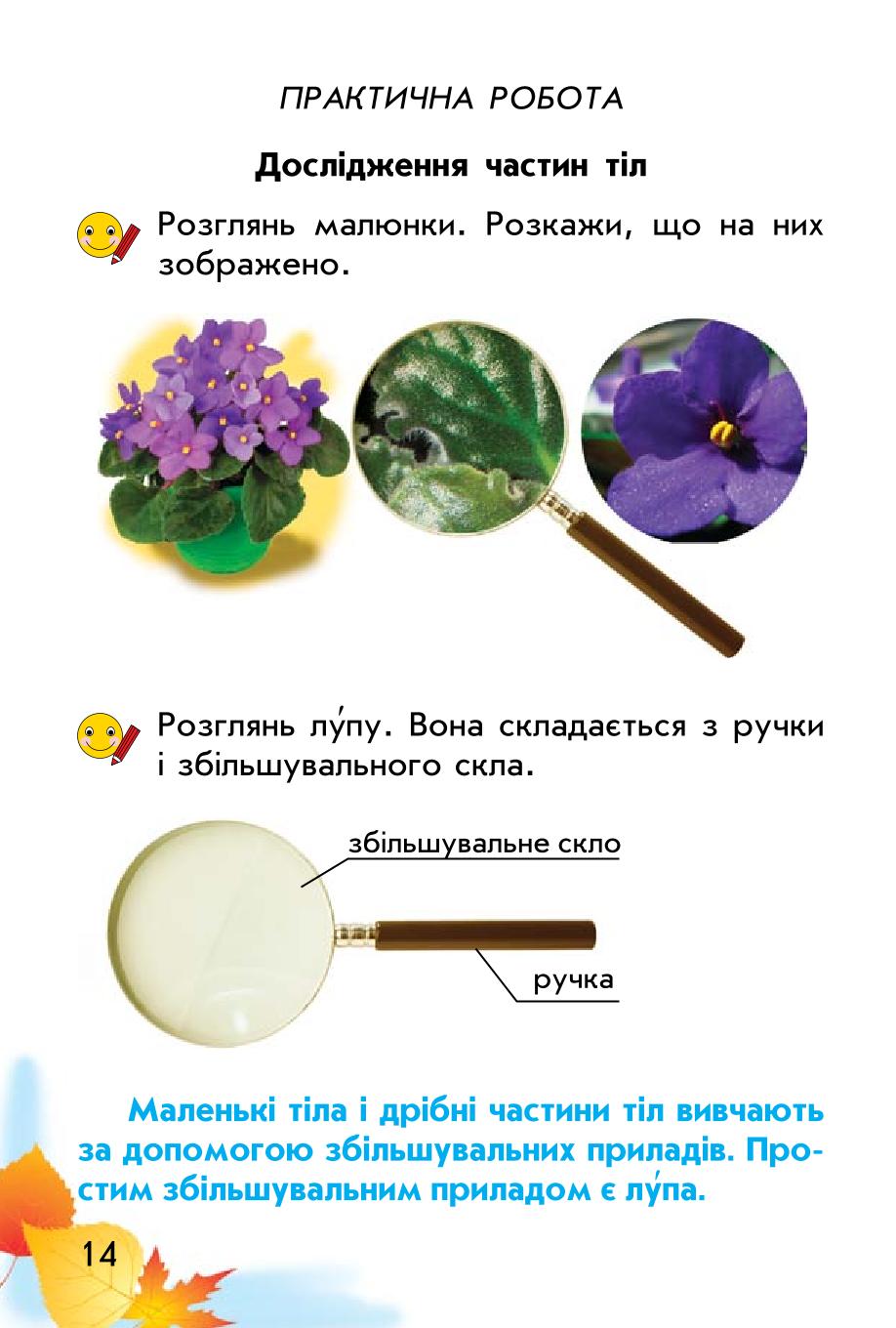 Мініатюра 14