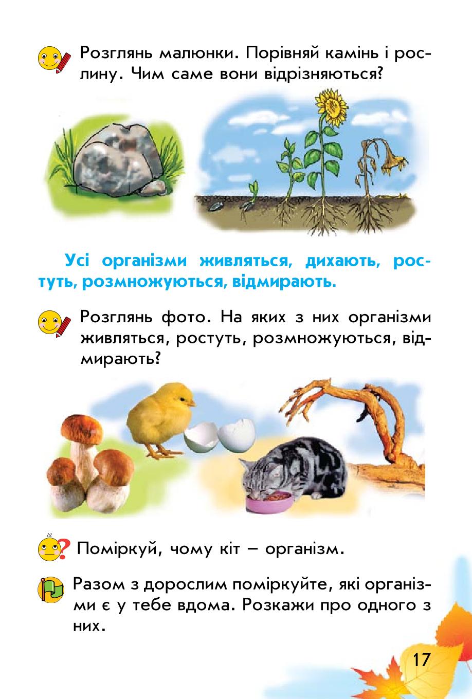 Мініатюра 17