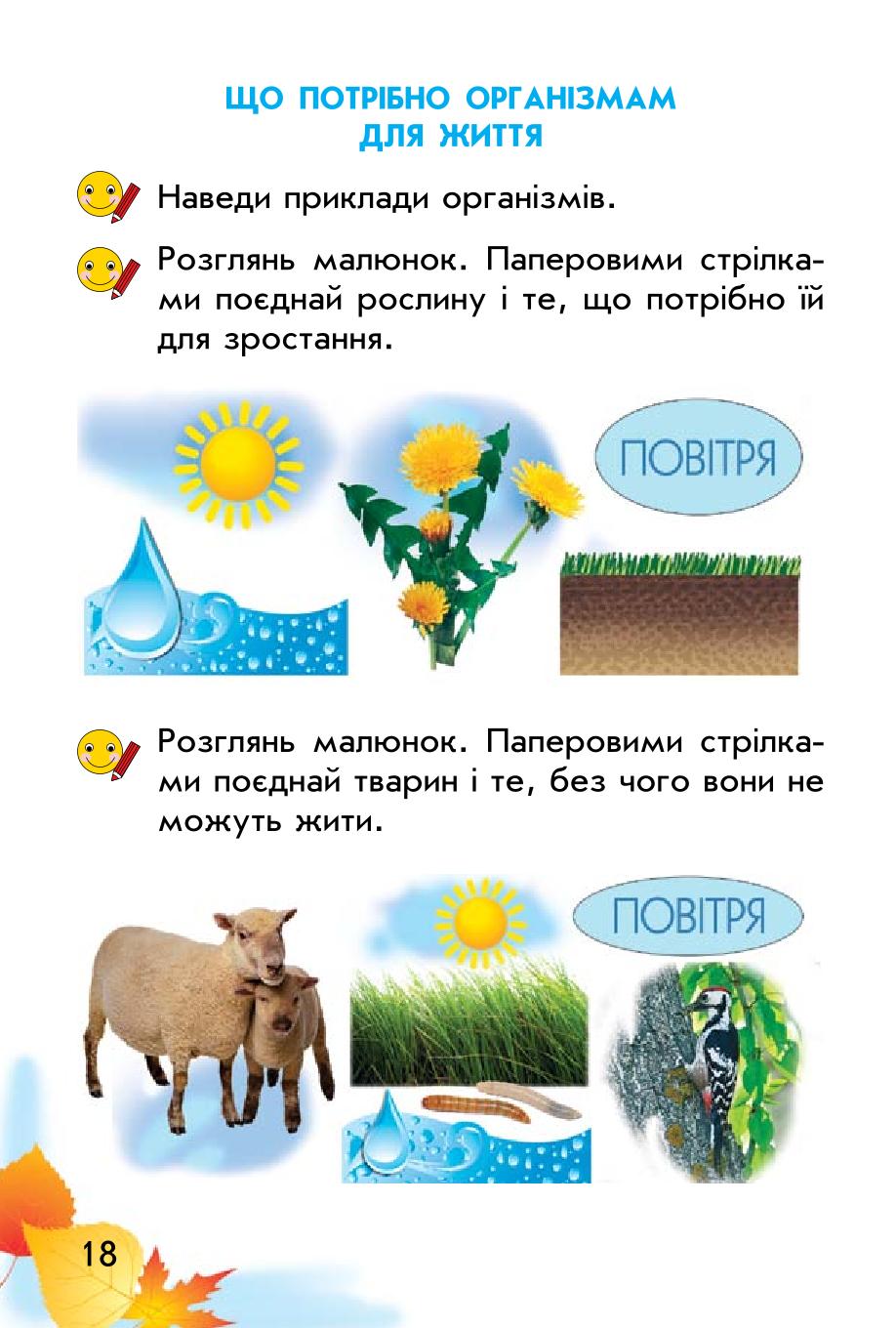 Мініатюра 18