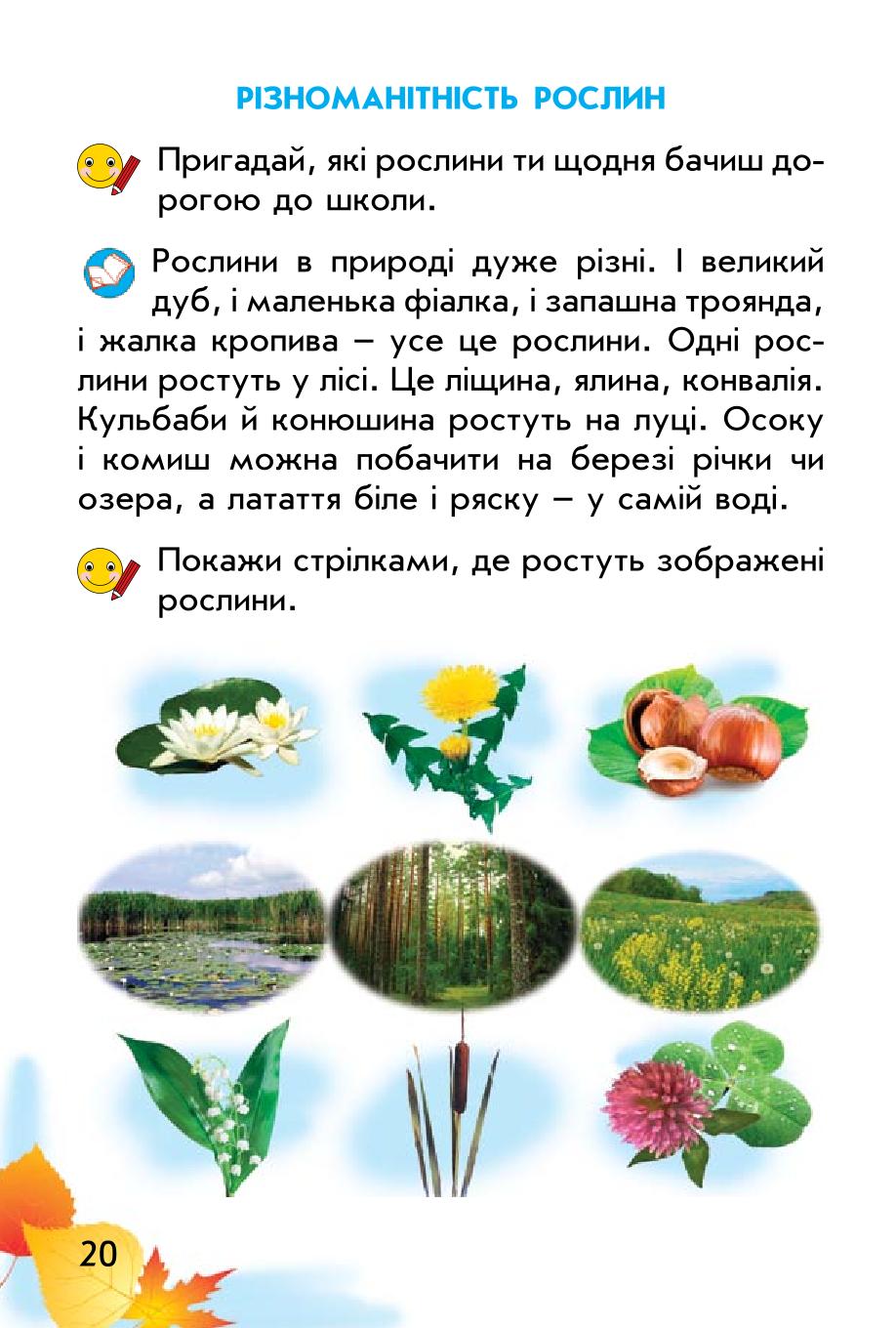 Мініатюра 20