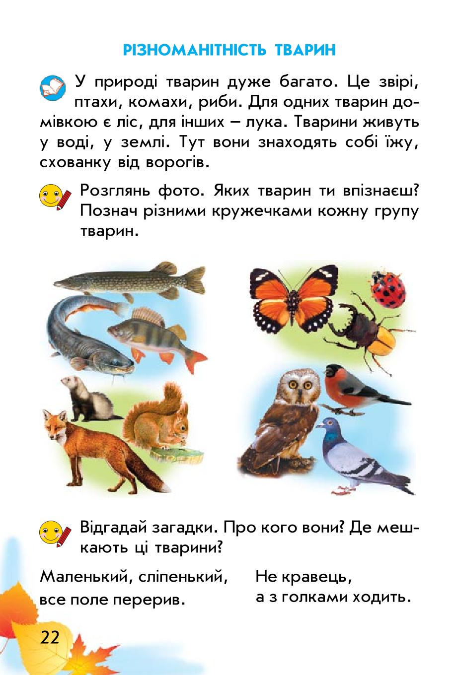 Мініатюра 22