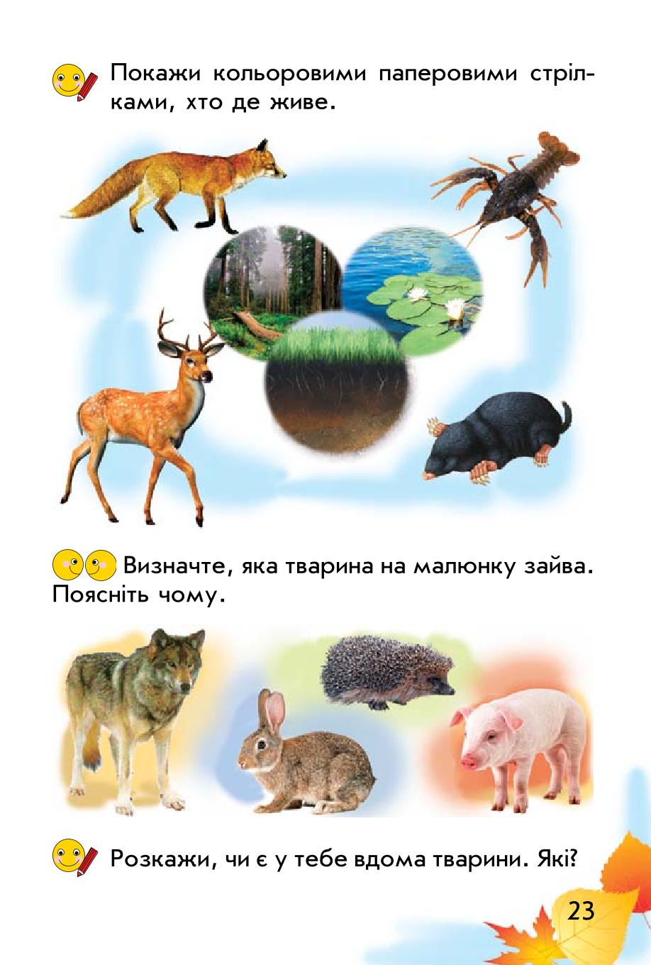 Мініатюра 23
