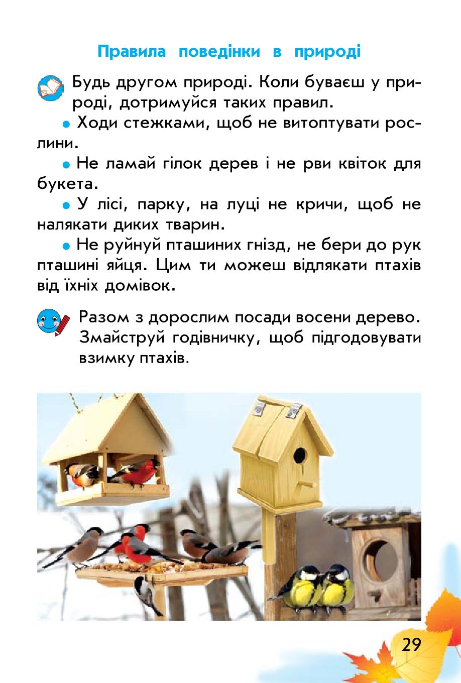Мініатюра 29