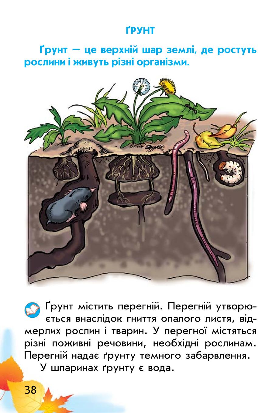 Мініатюра 38
