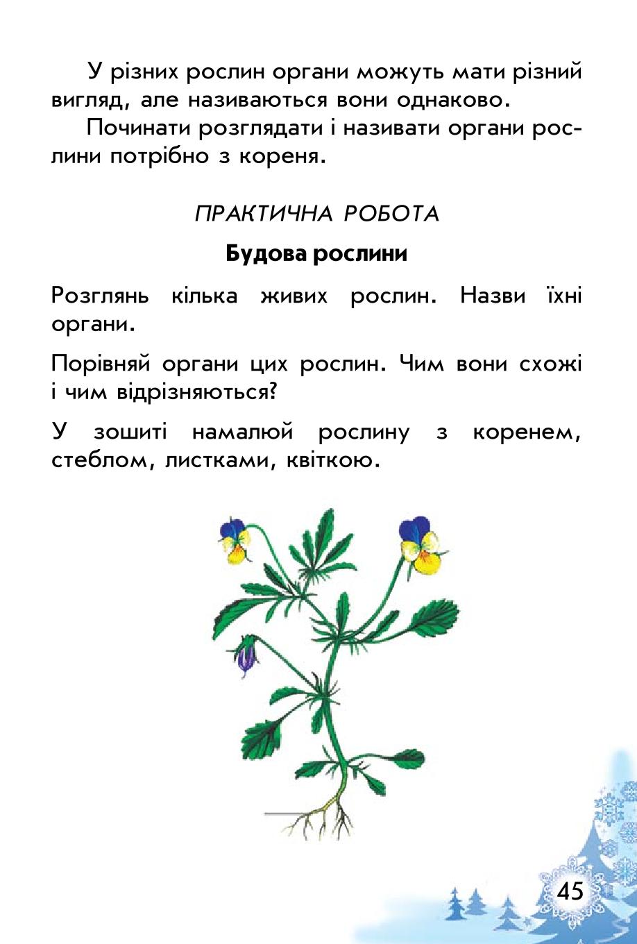 Мініатюра 45