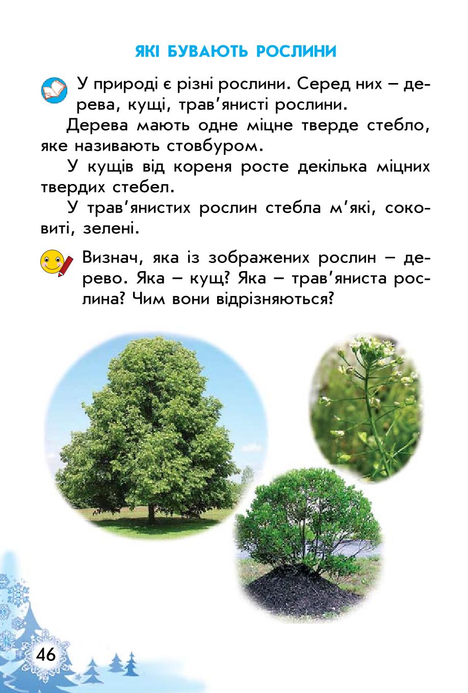 Мініатюра 46