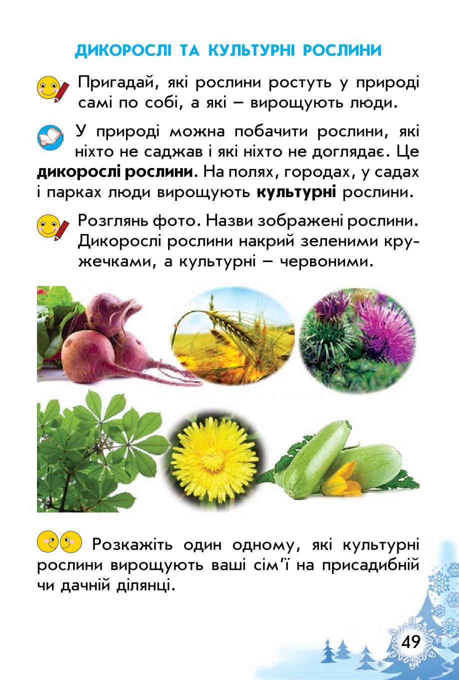 Мініатюра 49
