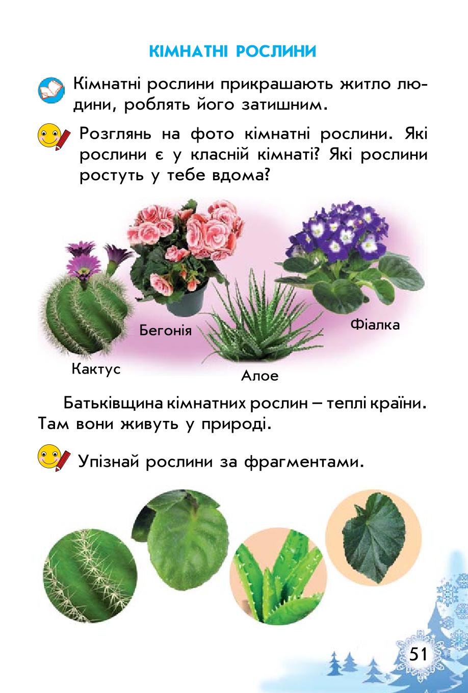 Мініатюра 51