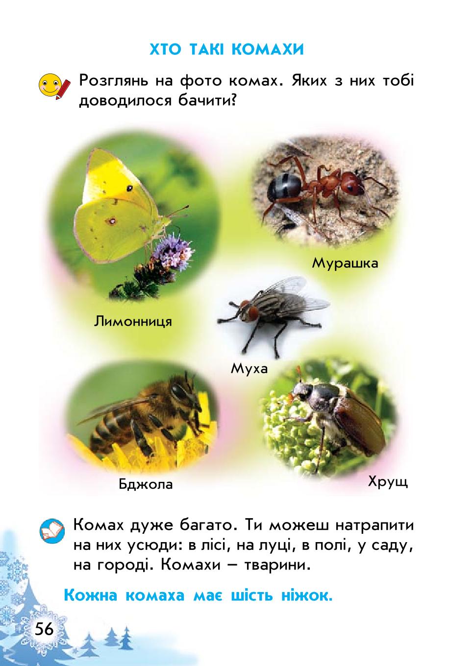Мініатюра 56