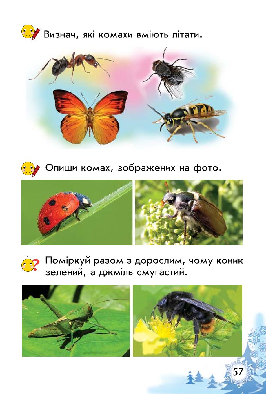 Мініатюра 57