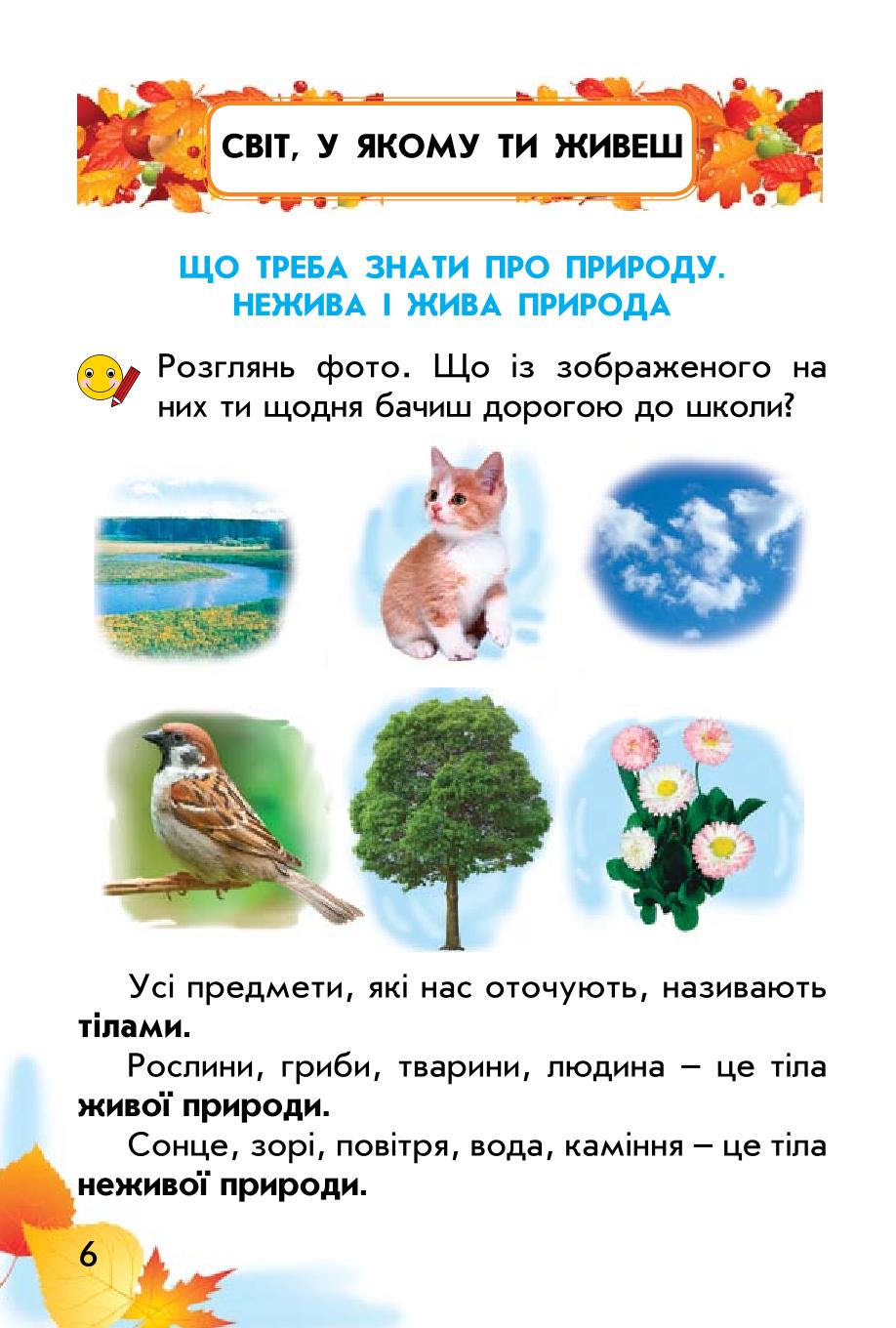 Мініатюра 6