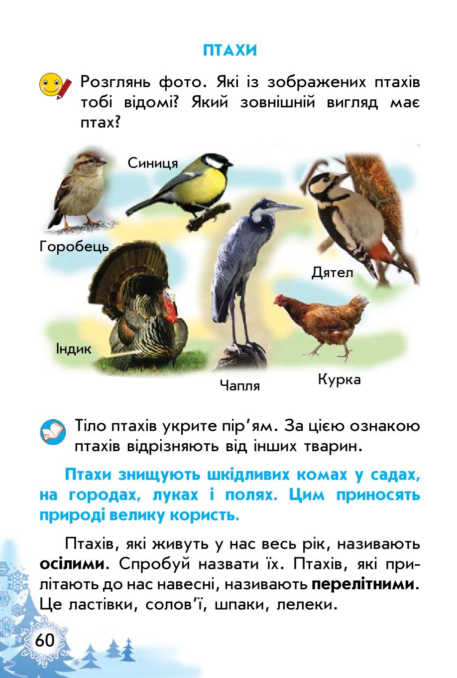 Мініатюра 60