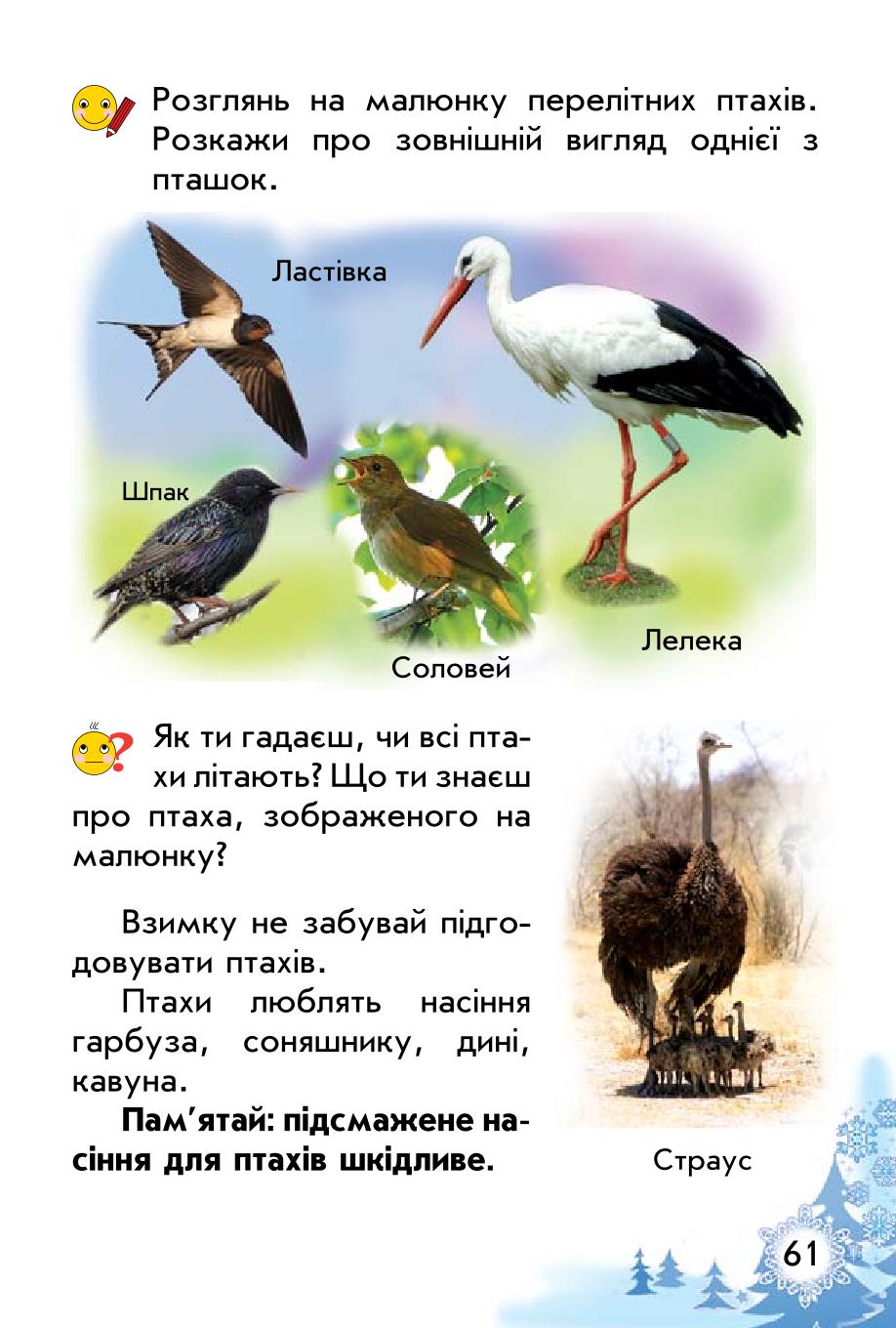 Мініатюра 61
