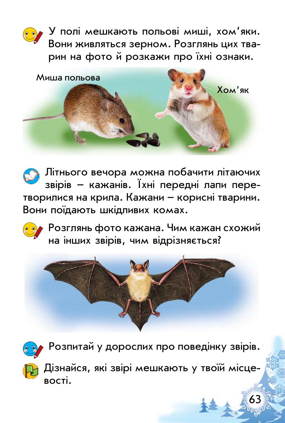 Мініатюра 63