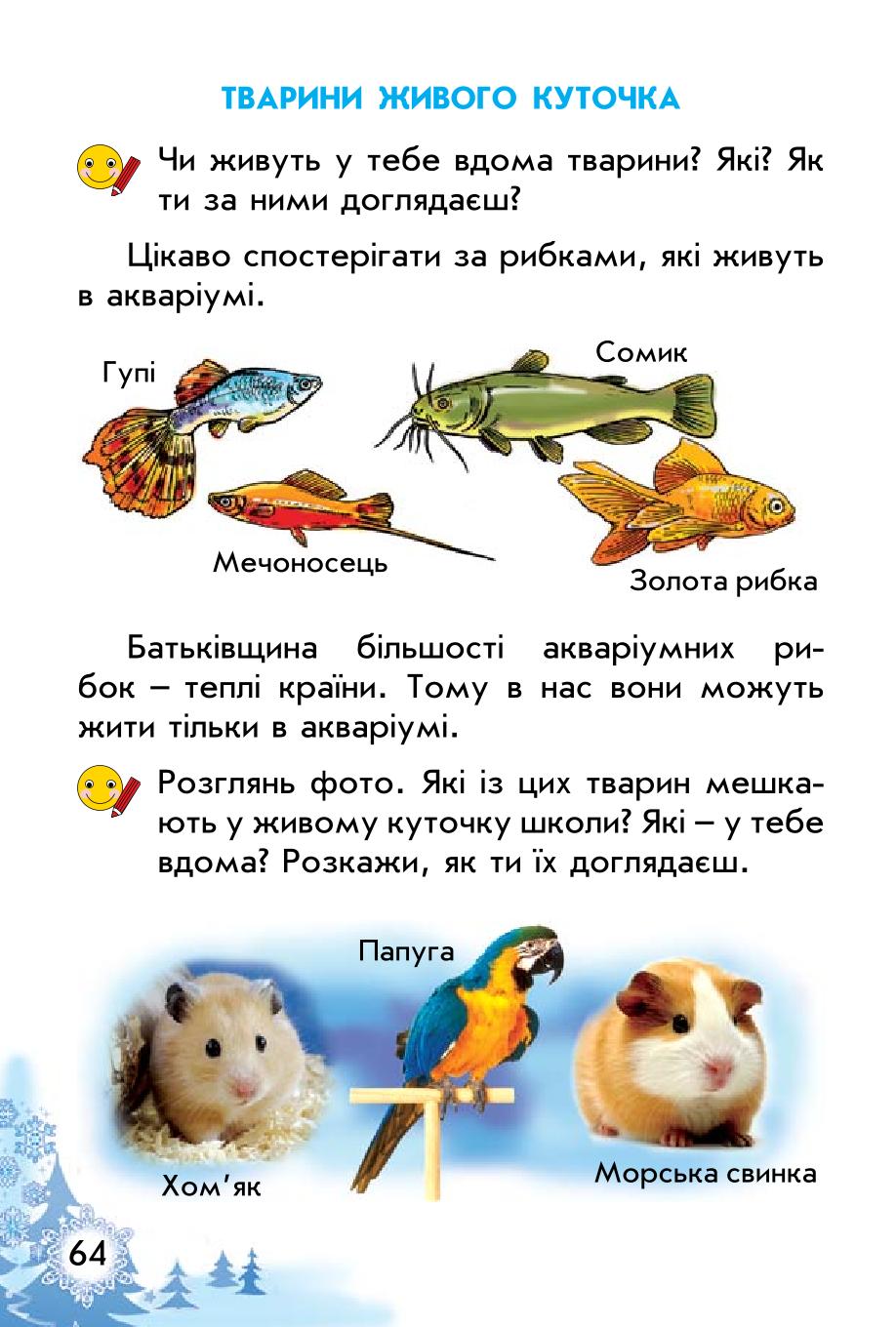Мініатюра 64
